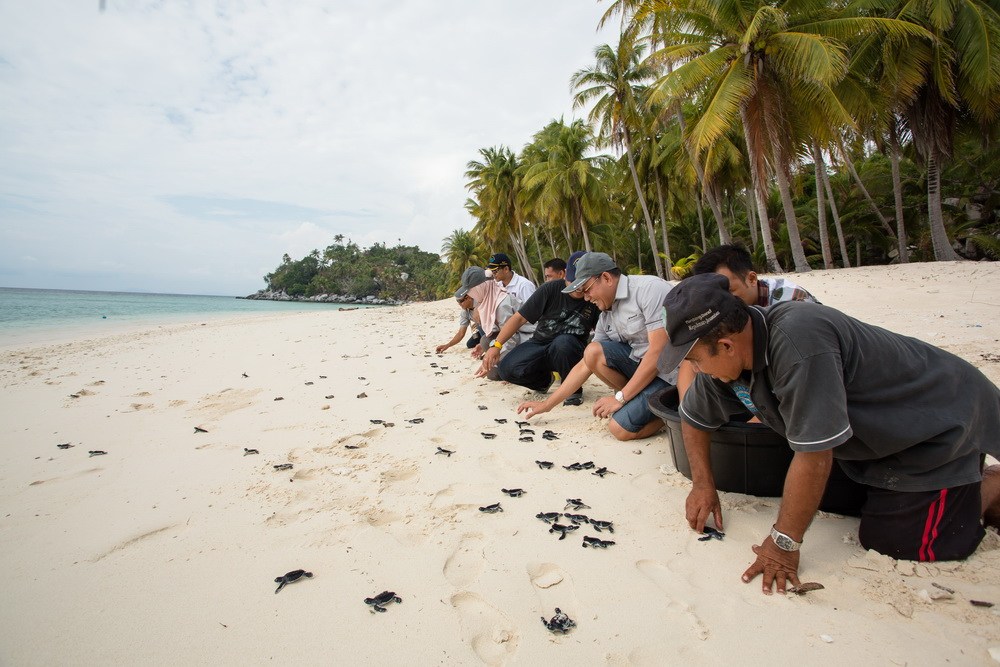 Pulau Pahat, Lahan Konservasi Penyu Sisik Yang Berada